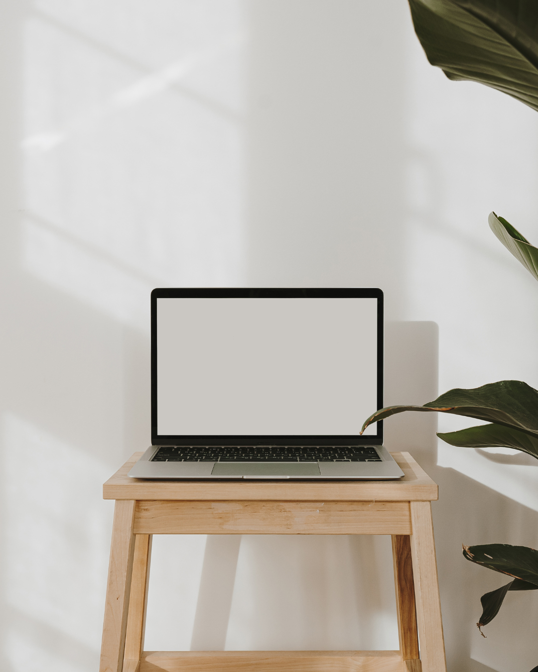 social media wellness brands